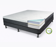 Beauty Sleep Mattress